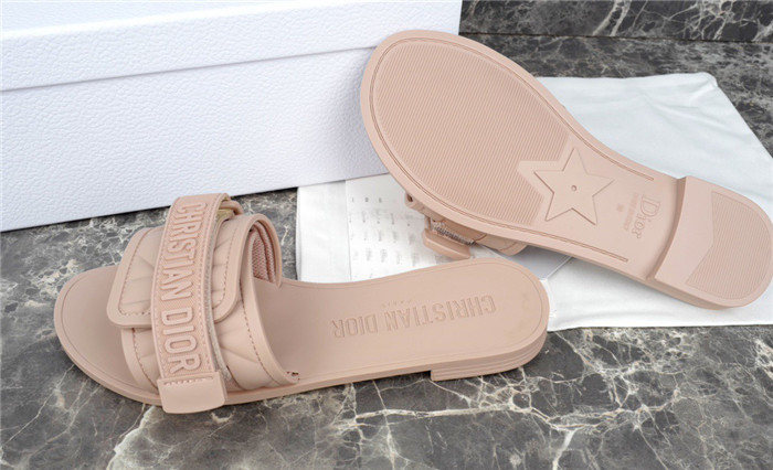 D1R* SLIDE copshoe DR-198