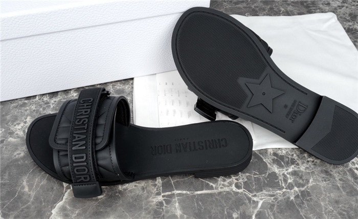 D1R* SLIDE copshoe DR-199