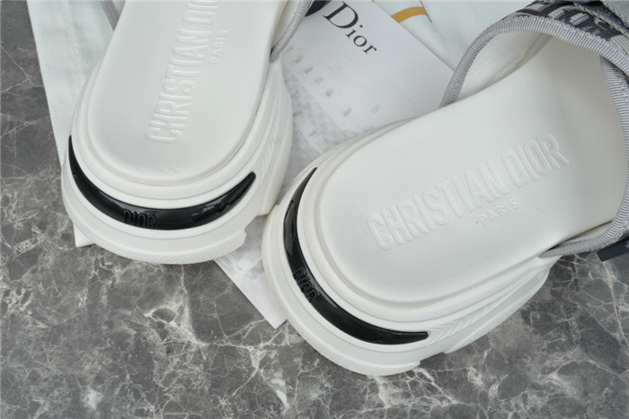 D1R* SLIDE copshoe DR-200