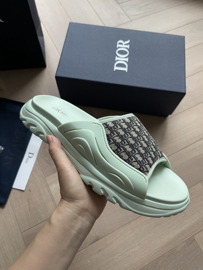 D1R* SLIDE copshoe  DR-SLIDE 008