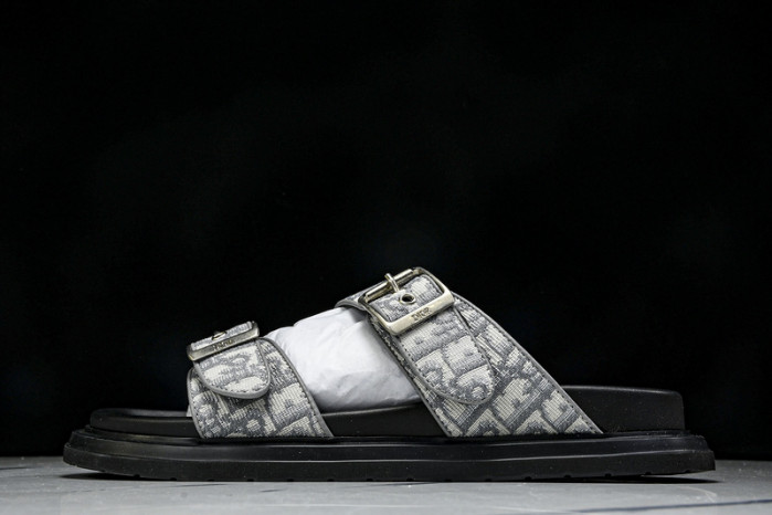 D1R* SLIDE copshoe  DR-SLIDE 014