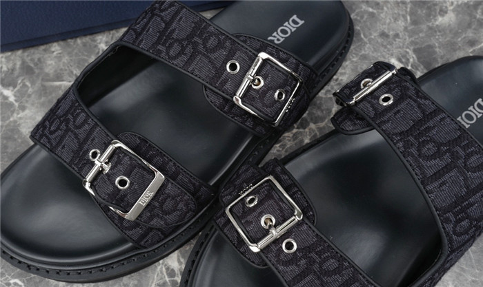 D1R* SLIDE copshoe DR-220
