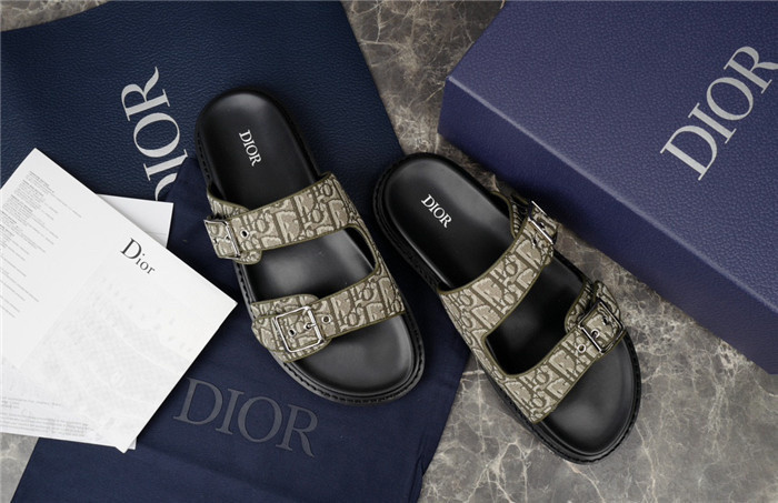 D1R* SLIDE copshoe DR-241