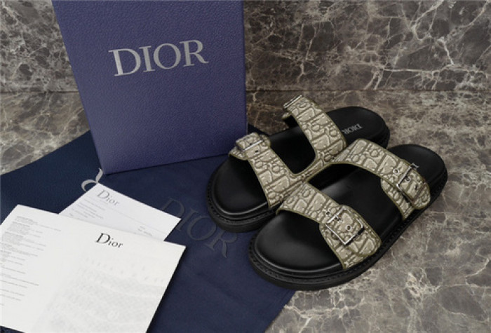 D1R* SLIDE copshoe DR-241