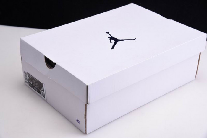 Air Jordan 4 “Court Purple” CT8527-115